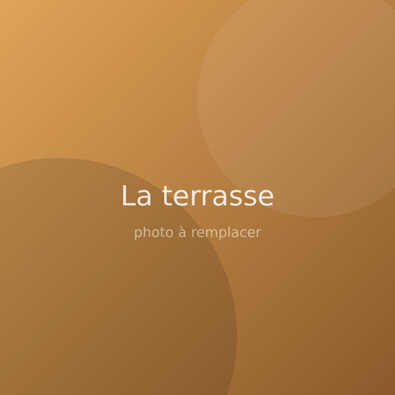 La terrasse ombragée rue des Capucins